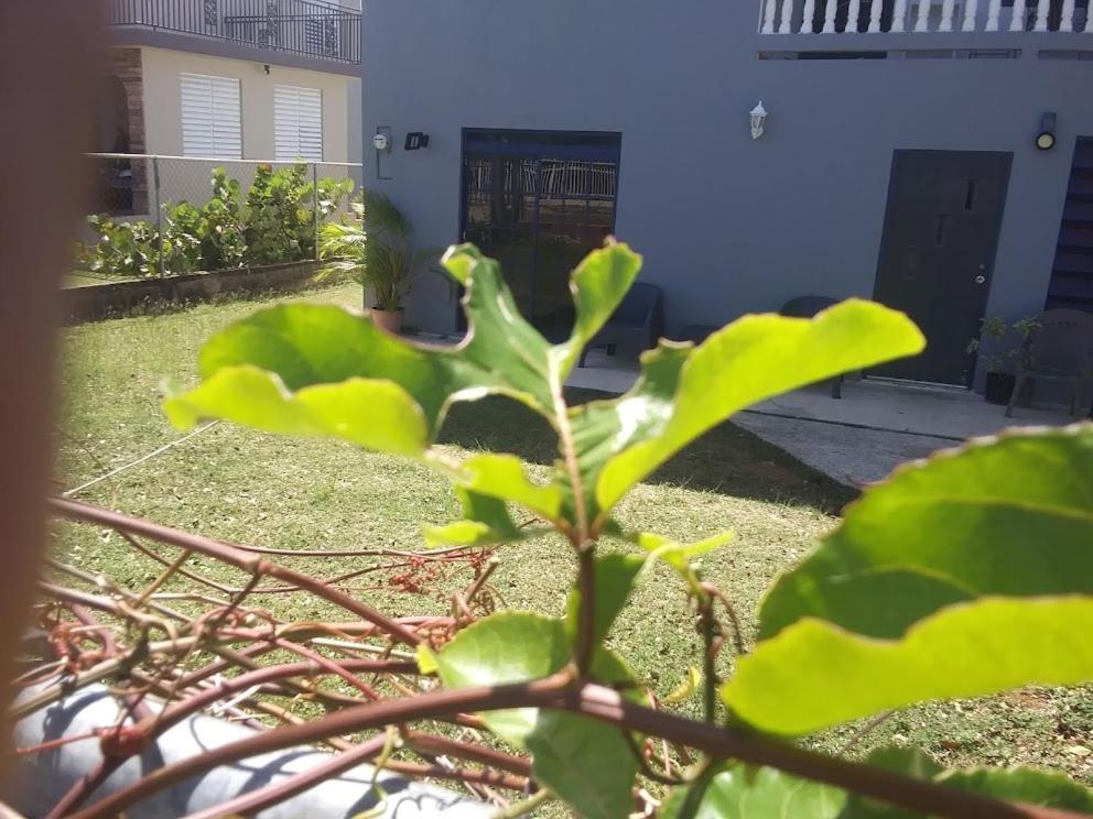 Labadie Apartment Aguadilla Zewnętrze zdjęcie